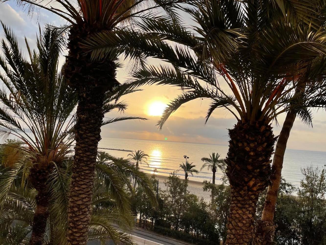 Gran Atico Con Terraza En El Centro De Alicante Ngoại thất bức ảnh